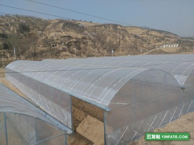 荣创农业_重庆_薄膜温室安装_塑料大棚建造成本